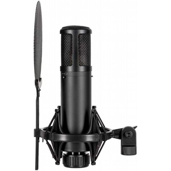 sE Electronics SE2300 Condenser Microphone